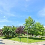 Berceni, Metalurgiei, Parc Tudor Arghezi, STB, acces metrou (Leonida)